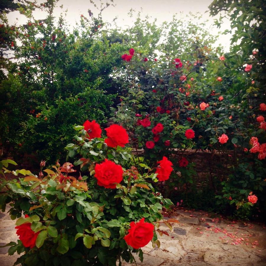 فندق Prínosفي  La Casa Rossa المظهر الخارجي الصورة